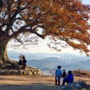 옛숨결 | 옛 백제의 숨결 부여공주여행 부여편 총정리 ; 백마강 황포돛배 타고 고란사 낙화암, 정림사지 오층석탑...