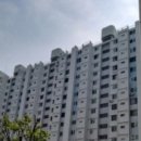 현대연예인아파트 티스토리