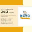 그루밍멍멍 이미지