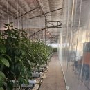 연임농장` 이미지