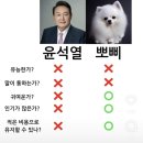 맷차 이미지