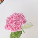 보테니컬아트 이미지