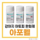 구구동물병원 이미지