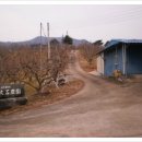 섬지뜰농장 이미지