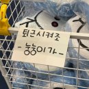 삑! 발등에 불 떨어질 사람의 글입니다