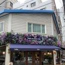 땡큐베리(Thankyou berry) 이미지