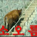 럭셔리수룸소주방 이미지