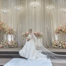 파티오커피 | w21. 안산aw컨벤션 6층 파티오 볼룸 예식 후기