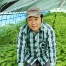 축령산깻잎