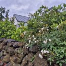 모리 다락방 이미지