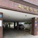 그린뷰티 | 대전왁싱 용문동왁싱 애버그린뷰티 임산부 브라질리언왁싱 후기
