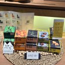 제로웨이스트 | [대구 동성로] 제로웨이스트샵 베네인 방문 후기