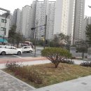 화성중앙공인중개사사무소 네이버블로그