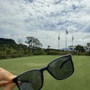 알리바이 | 골프 라운딩 필수템 RX 필름 부착 알리바이 스포츠 선글라스 사용 후기