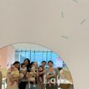 에비뉴화원