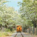 주문진황금돼지 | 2026 5월 황금연휴 여행지 BEST 7