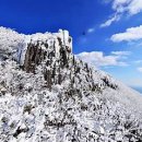 정선 가리왕산 케이블카 이미지