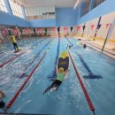 강호태권도장 | 태권도장에서 패들보드·스노클링까지?누구나 OK