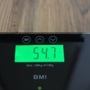 석보초등 | 주간 박루시 | 123. 힙한게 꼭 새로운거여야해?_주말엔 해미로 떠났다🍂