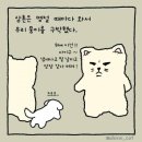 강아지삼촌