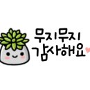 창5동 주민센터 이미지