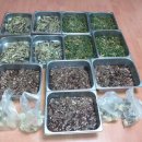 호반2차경로당 이미지