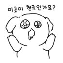 종로크라운 이미지