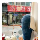 카멜리아문여수이순신