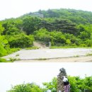용지천 이미지