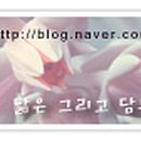 나무 이야기 우드버닝 이미지