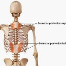 몸새김 웨이트&필라테스 이미지