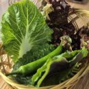 삼봉약국 이미지