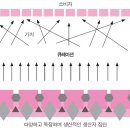 [#1주1독] 과감히 덜어내는 힘: 큐레이션 이미지