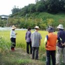 흥덕농장 이미지