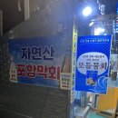 [은평구/횟집] 활어회 맛집 ‘포항물회’ 내돈내산 솔직후기