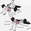 (주) 에이블짐 강남역점 이미지
