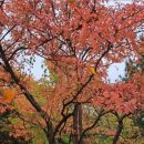 율하천자전거길 이미지