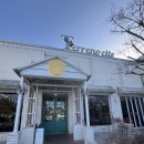 세모난나무2 | [용인 대형카페] 떼레노시떼 스페셜: 숲속의 하얀 건축물에서 즐기는 '콜럼버스 가이드' 선정 커피...