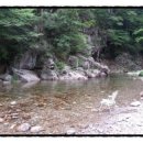 여기 좋아 이미지