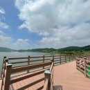 봉선지둘레길 이미지