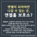 [네이트판] 엔젤이 되어야만 나갈 수 있는 보호소이야기 (쩌리에 많이 올라왔던 폐모텔 보호소야!) 이미지