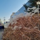 성안경로식당 이미지