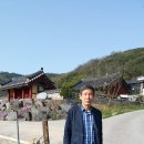 임천중학교 이미지