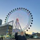 속초 가볼만한곳 추천! 초등아이와 다녀온 속초아이대관람차 후기(+이용요금,주차,탑승정보)