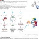 (주)한국줄기세포 이미지