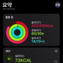 위드우당 | 11/10~11/16 주간일상
