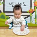 톰과제리어린이집 | 육아일상기록/13개월 아기(391일~420일)성장기록 육아일상