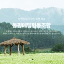 봉평고원메밀 이미지