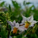 모현현대의원 이미지