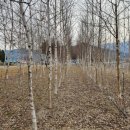 대항병원 이미지